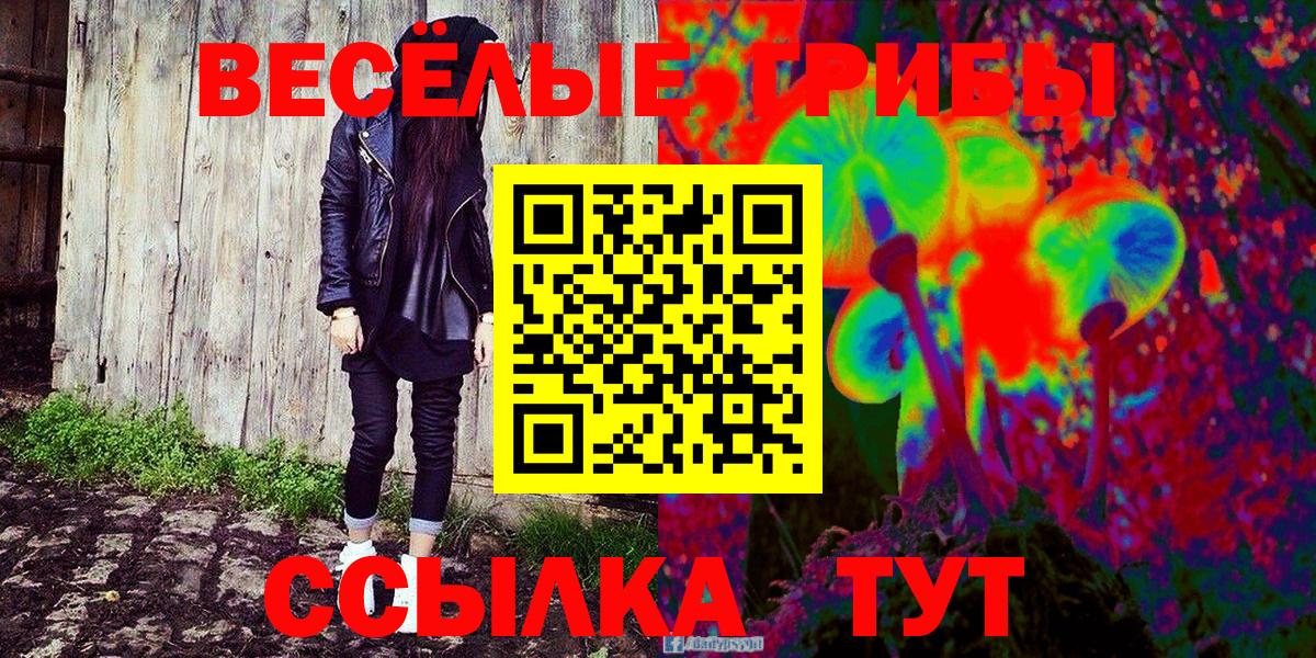 Галлюциногенные грибы прущие грибы  Вход с VPN  Галлюциногенные грибы мицелий  Тейково 