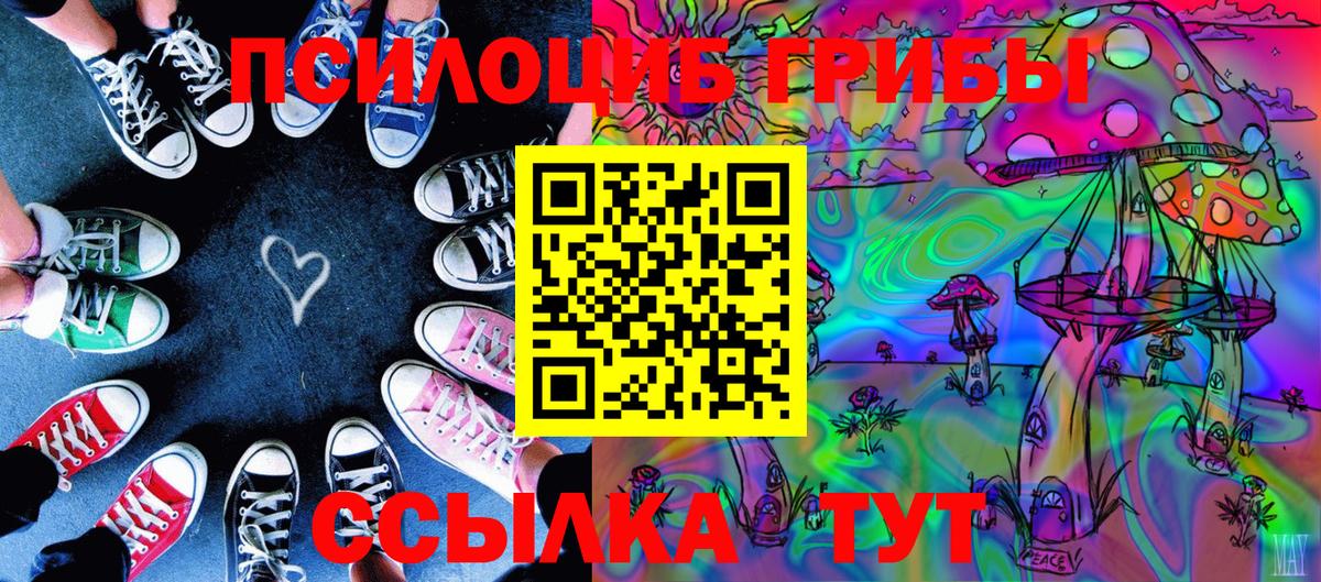 Псилоцибиновые грибы Psilocybine cubensis Тейково